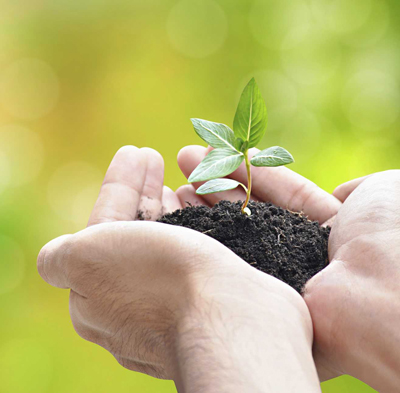 Specifie an alternate text for an image